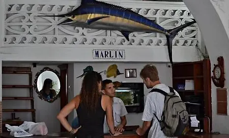 Marlin * Cartagena